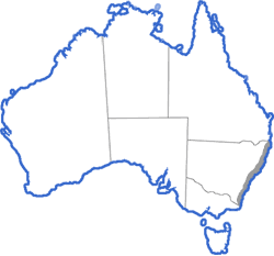 Distribution map for Litoria jervisiensis