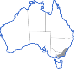 Distribution map for Litoria lesueuri