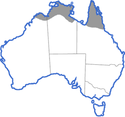 Distribution map for Litoria microbelos