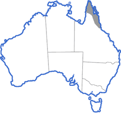 Distribution map for Litoria nigrofrenata