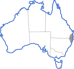 Distribution map for Litoria pearsoniana
