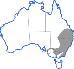 Distribution map for Litoria peroni