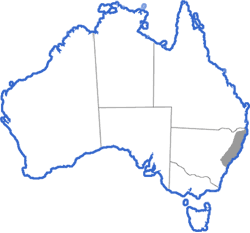 Distribution map for Litoria phyllochroa