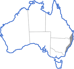 Distribution map for Litoria tyleri