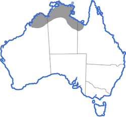 Distribution map for Litoria watjulumensis
