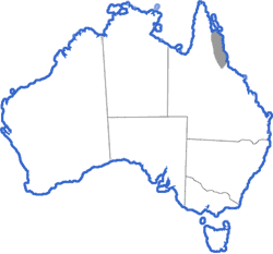 Distribution map for Litoria xanthomera