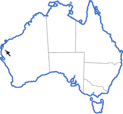 Distribution map for Neobatrachus fulvus
