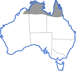 Distribution map for Notaden melanoscaphus