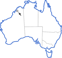 Distribution map for Notaden weigeli