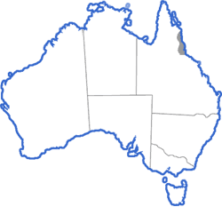 Distribution map for Nyctimystes dayi