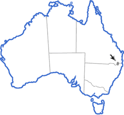Distribution map for Philoria kundagungan