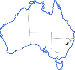Distribution map for Philoria pughi