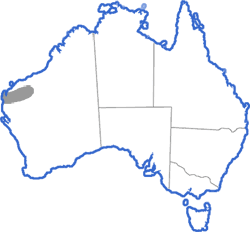 Distribution map for Pseudophryne douglasi