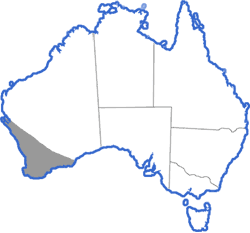 Distribution map for Pseudophryne guentheri