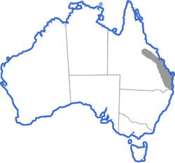 Distribution map for Pseudophryne major