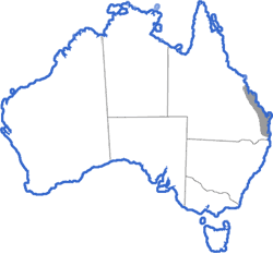 Distribution map for Pseudophryne raveni