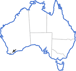 Distribution map for Spicospina flammocaerulea