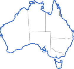 Distribution map for Taudactylus acutirostris