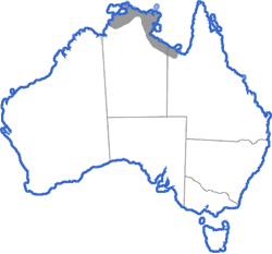 Distribution map for Uperoleia inundata