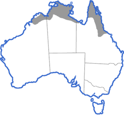 Distribution map for Uperoleia lithomoda