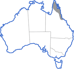 Distribution map for Uperoleia mimula