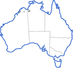 Distribution map for Uperoleia minima