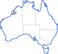 Distribution map for Uperoleia talpa