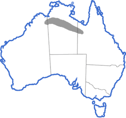 Distribution map for Uperoleia trachyderma